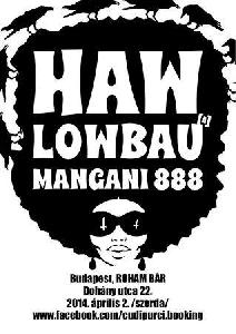 HAW, Lowbau, Mangini 888