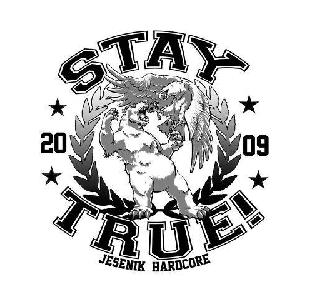 Stay True! - Strong Beliefs (2012)