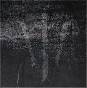 Noise Trail Immersion - S/T (2014)