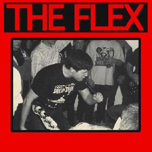  THE FLEX  - THE DEMO (2012)