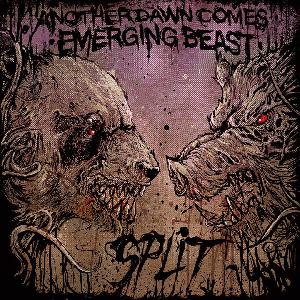 Another Dawn Comes / Emerging Beast - SPLIT (2011)