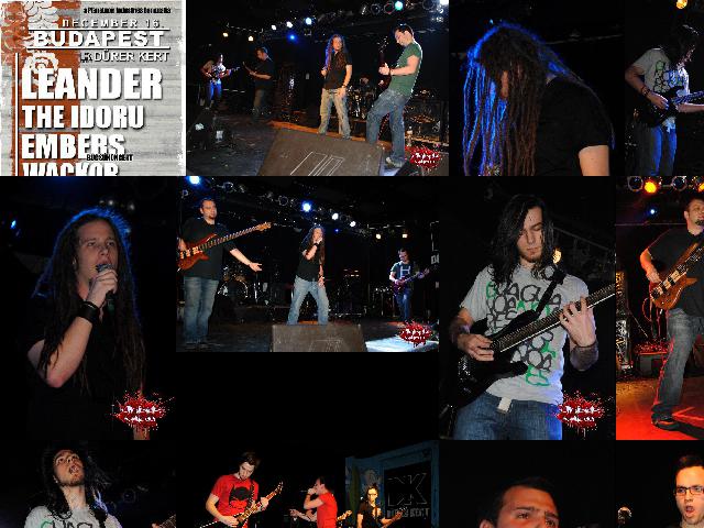 2011.12.16.embers_bucsubuli-durer_kert