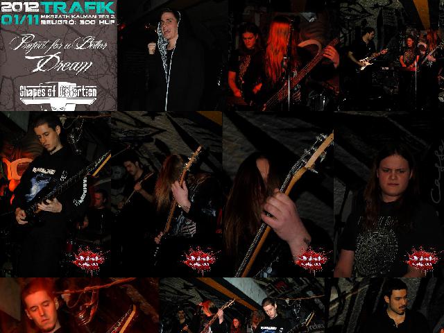 2012.01.11.newborn_dying_shapes_of_distortion_project_for_a_better_dream-trafic_klub