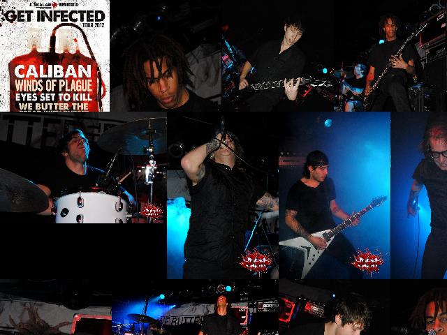 2012.02.15.get_infected_tour-durer_kert