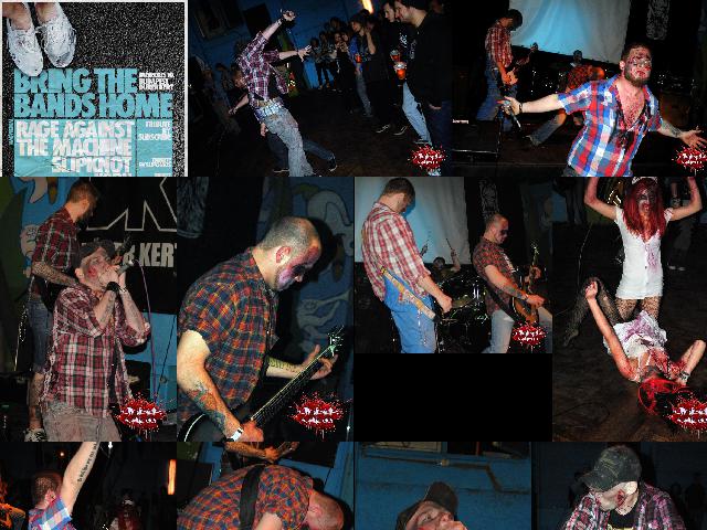 2012.03.10.bring_the_bands_home-durer_kert