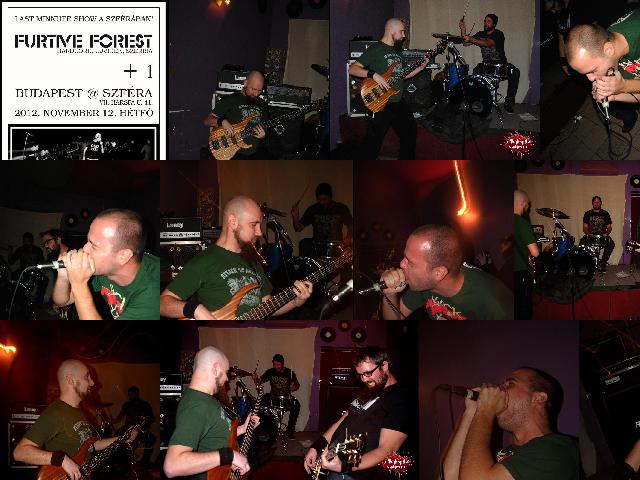 2012.11.12.furtive_forest-the_disfaszz-szfera