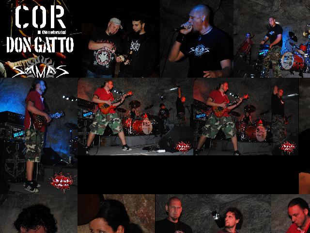2013.05.09.samas-cor-don_gatto-showbarlang