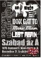 gallery/2012.12.27.lost_again-manic_miner-no_mute-don_gatto-szabad_az_a/1.jpg