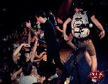 gallery/2013.04.29.stubborn-final_prayer-backtrack-comeback_kid-durer_kert/DSC_0619.JPG