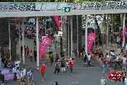 gallery/2014.07.23-27.campus_fesztival_2014-debrecen_nagyerdo/DSC_0017.JPG