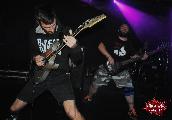 gallery/2014.09.13.death_to_summer_2-macskanadrag~durer_kert-rocktogon/DSC_0825.JPG