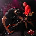 gallery/2015.11.07.2.legion_fest~durer_kert/DSC_0397.JPG