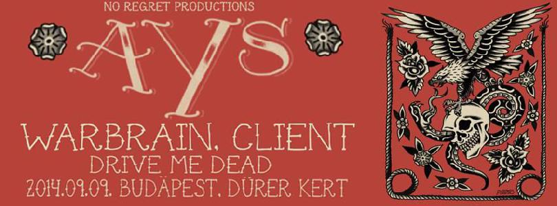 Ays, Warbrain, Client., Drive Me Dead Dürer Kert (régi)