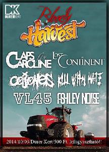 Ashley Noise, VL45, Kill With Hate, Claps For Caroline, Cojones, Lost Continent Dürer Kert (régi)