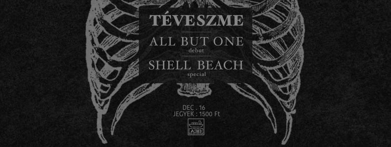 Téveszme, All But One, Shell Beach A38 Állóhajó