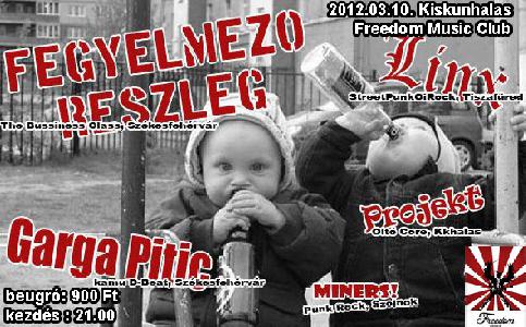 Fegyelmező Részleg, Linx, Garga Pitic, Project, Miners Freedom Music Club