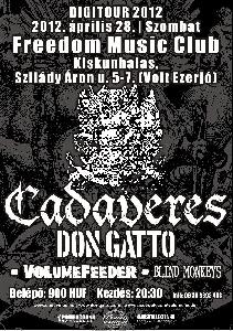 Cadaveres, Don Gatto, Volumfeeder, Blind Monkeys Freedom Music Club