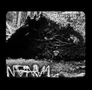 Nagaarum - GuilThee hírcsokor