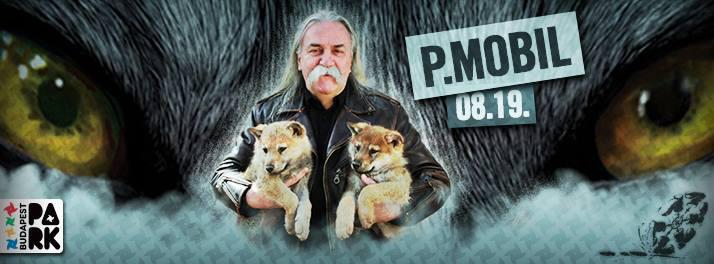 A P.Mobil 40 éves jubileumi koncertje
