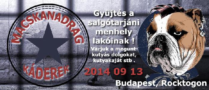 Gyűjtés a Salgótarjáni Állatmenhely lakóinak!